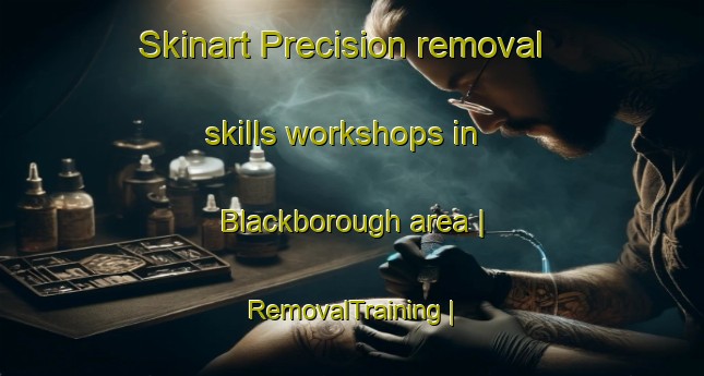 Skinart Precision removal skills workshops in Blackborough area | RemovalTraining | RemovalClasses | SkinartTraining-United Kingdom